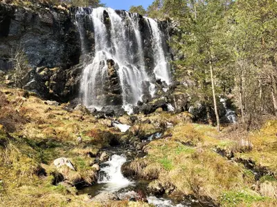 a waterfall in the middle of a forest at Holiday Home Greenhouse by Interhome in Onarheim