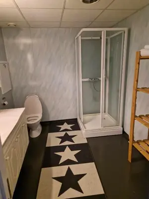 a bathroom with a shower and a toilet with stars on the floor at Haukeli hotell leilighet in Haukeligrend