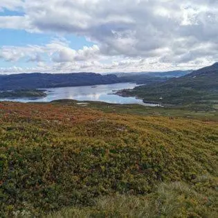 a view of a body of water in a field at Haukeli hotell leilighet in Haukeligrend