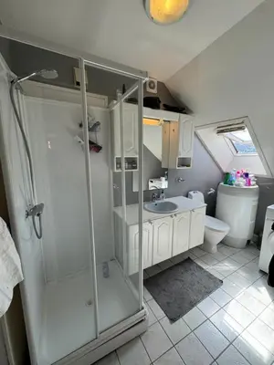 a bathroom with a shower and a sink and a toilet at Spacious and central apartment I 250m from Bryggen in Bergen