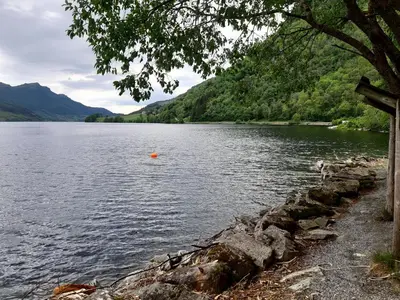 a view of a body of water with a tree at Oynø in Etnesjøen