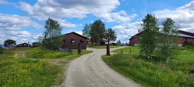 a dirt road in a field with two red barns at Buviken Nordre, Femund in Sømådalen