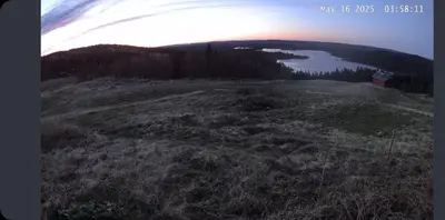 a grassy hill with a house on top of it at Hytte på fjellet, med mange turmuligheter ! in Gol