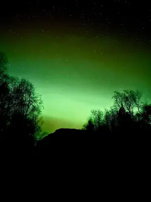 an emerald green sky with trees in the foreground at Øen Hytter 1 in Sørbø