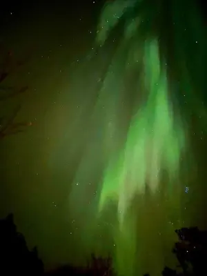 an image of the northern lights in the sky at Øen Hytter 1 in Sørbø