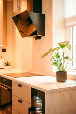 a kitchen with a potted plant on a counter at Celestial Bergen Central Apartment in Bergen