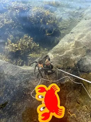 a toy lobster is sitting in the water at Sjønært småbruk in Bud
