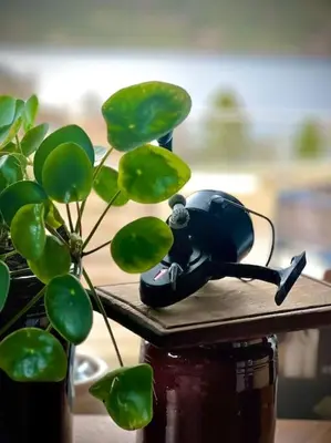 a green plant sitting next to a telephone next to a plant at Skarnsundet apartment in Venneshamn