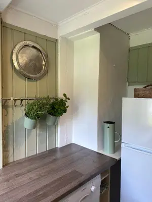 a kitchen with two potted plants and a refrigerator at Veslegarden in Lærdalsøyri