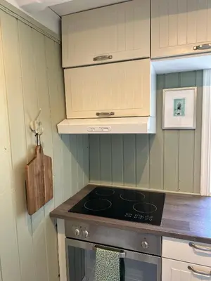 a kitchen with a stove top oven in a room at Veslegarden in Lærdalsøyri