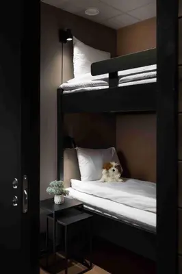 a dog sitting on top of a bunk bed at Riddergaarden Hotel & Mountain Lodge, Beitostølen in Beitostøl