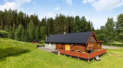 a log cabin with a black roof on a green field at Skogcamping in Bjørnstad