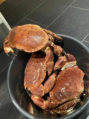 a bowl of crabs sitting on top of a counter at Nydelig villa ved sjøen med oppvarmet basseng in Bergen
