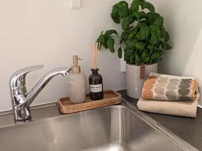 a kitchen sink with two bottles of soap and a plant at Meget hjemmekoseligISentraltINyoppusset leilighet in Bergen