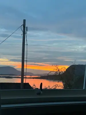 a cat sitting on a window sill with a view of a sunset at Ålesund sentrum apartment in Ålesund