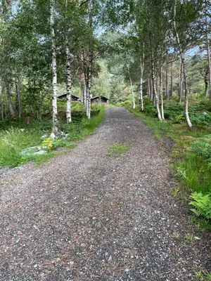 a dirt road through a forest with trees at Alværa Misionssenter Sommerhotel in Lavik