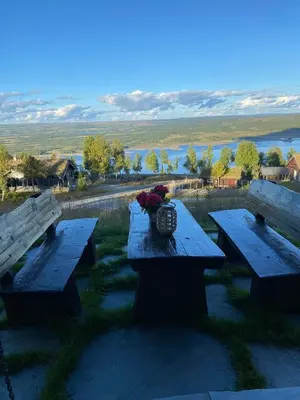 two picnic tables with flowers on top of it at Cozy family cabin with stunning location on Golsfjellet in Golsfjellet