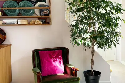 a chair and a potted tree in a room at Spacious historical art oasis in the city center in Bergen