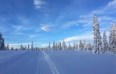 a snow covered field with snow covered trees and a road at Amazing Home In Sjusjøen With Sauna in Sjusjøen