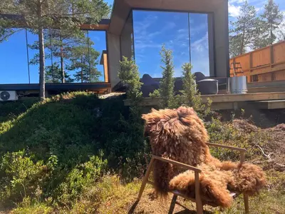 a stuffed dog sitting in a chair in front of a house at Speilsuite med egen badstue og panorama in Steinkjer