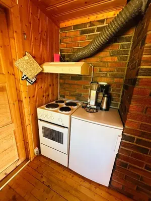 a kitchen with a stove and a brick wall at Nydelig naturperle på Nesbyen, nær Langedrag in Nesbyen