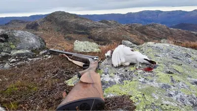 a gun sitting on top of a mountain at Handeland Lodge Near Trolltunga and Pulpit Rock Sleeps 18 with Sauna in Sauda