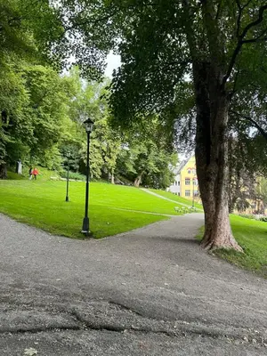 a park with a street light next to a tree at Ålesund sentrum Parkgata in Ålesund