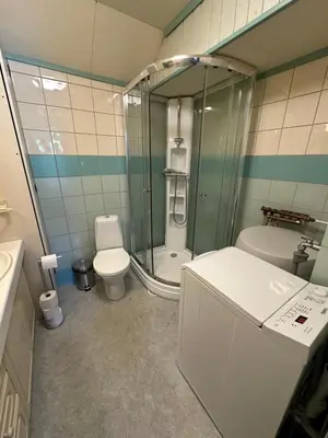 a bathroom with a shower and a toilet and a sink at Koselig Sentrumsleilighet i 2 etg in Nes i Ådal