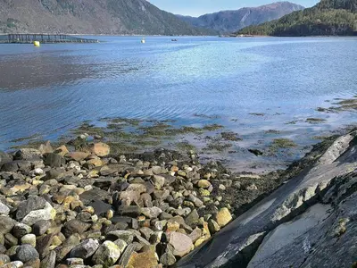 a bunch of rocks on the shore of a lake at 6 person holiday home in Halsanaustan in Korsnes