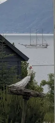 a white bird sitting on top of a building with a boat in the water at Apartment Fjordblick in Leikanger
