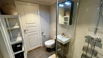 a bathroom with a shower and a toilet and a sink at Modern cabin, great view, sunny, 2BA, 4BR in Hemsedal