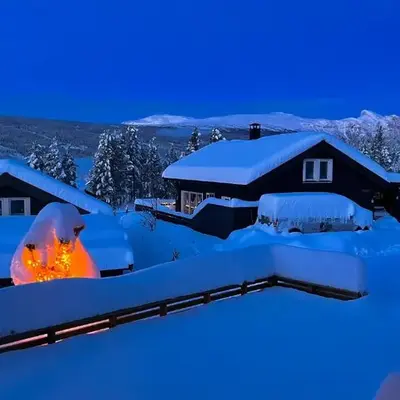Modern cabin