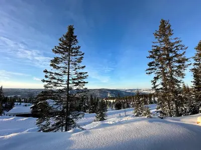 a group of trees on top of a snow covered mountain at New chalet with great view in Hafjell