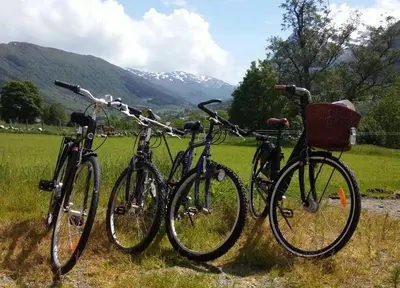 three bikes parked next to each other in a field at Dønhaug Gjestegard in Uskedalen