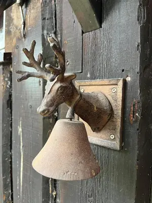 a deer head hanging on a wall with a lamp at Frøy&Frøya Hyttetun in Skammestein