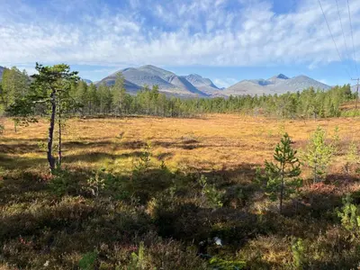 a field with trees and mountains in the distance at Rondane - Øvre Nordli Sollia Friluftsliv in Atnfoss