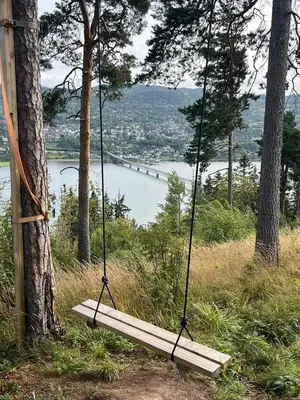 a swing hanging from a tree on a hill at Leilighet Vingnes in Lillehammer