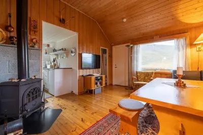 a living room with a fireplace and a stove at Peaceful cabin retreat in the Norwegian mountains in Ulsteinvik