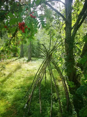 a spiderweb in the middle of a field of grass at Villa Ka Stor Elvdal in Koppang