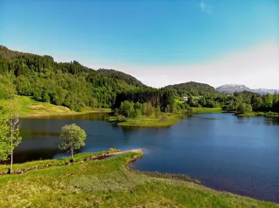 a lake with a tree in the middle of it at Lite hus 40 minutter unna Bergen in Bjørkheim