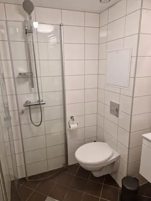 a bathroom with a toilet and a shower at Central and cosy apartment in Trondheim, Free parkingspot in Trondheim