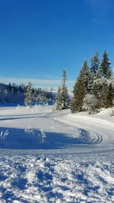 a road covered in snow with trees in the background at HYTTEEVENTYR I VALDRES MED JACUZZI, 5 soverom, alpinbakke og skiløyper like ved! in Aurdal