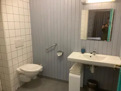 a bathroom with a toilet and a sink and a mirror at Sanden pensjonat in Lærdalsøyri