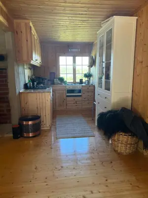 a kitchen with a dog in the middle of it at Øyangen 3 in Rogne