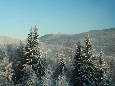Gallery image of Trysil \u8c6a\u534e\u5168\u65b0\u5c0f\u6728\u5c4b\u4f4f\u5bbf in Nybergsund