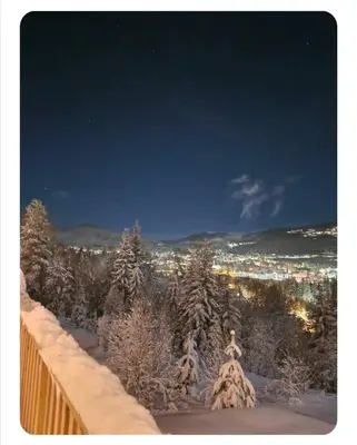 Gallery image of Trysil \u8c6a\u534e\u5168\u65b0\u5c0f\u6728\u5c4b\u4f4f\u5bbf in Nybergsund