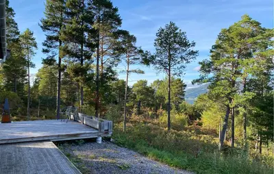 a wooden boardwalk in the middle of a forest at 3 Bedroom Beautiful Home In Torvikbukt in Torvikbukt