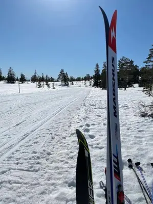 a pair of skis are standing in the snow at Delikat tømmerhytte på Blefjell in Flesberg