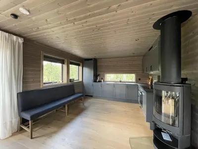 a living room with a couch and a stove at Bjørkebo in Ål - cabin in hiking and skiing area in Ål