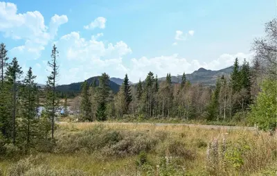 a view of a field with trees and a road at 3 Bedroom Nice Home In Tuddal in Tuddal